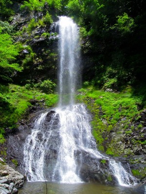 絵にならない！？