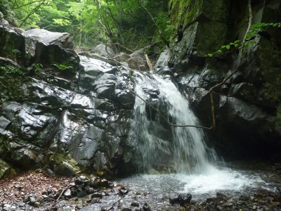 わずかに残された滝