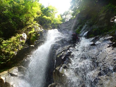 大滝直登中のシュークリームさん
