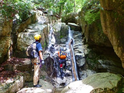 どうやって登ろうかな