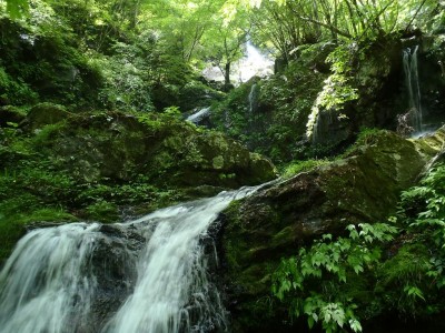 この中にzippさんが写っているはずなんだけど。