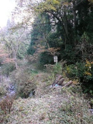 2007年の右俣出合の橋　まだ健在です