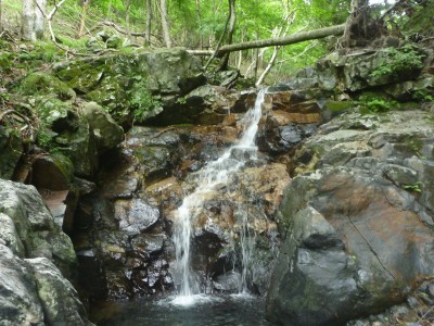 源流だけは健在です