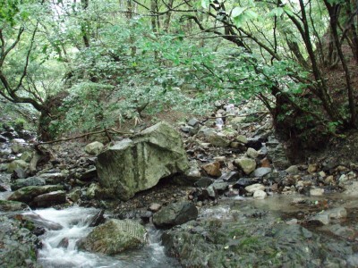 健在な頃の白谷出合