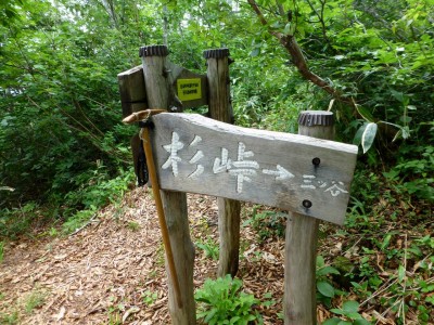 P1020644.JPG (384.64 KiB) 閲覧された回数 4627 回 杉峠には立派な表示があります