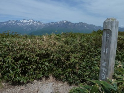 赤兎山山頂には「杉峠まで９㎞」という表示があります