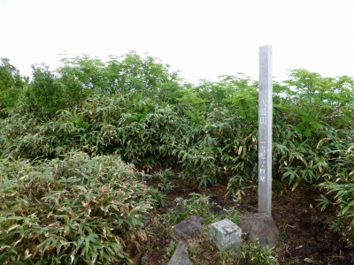 大長山の二等三角点