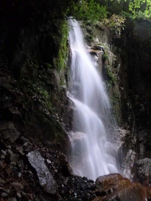 P1030440.jpg (65.19 KiB) 閲覧された回数 5757 回 15m滝(巻きの途中から)