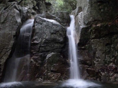 P1030457.jpg (68.11 KiB) 閲覧された回数 5747 回 美しい2条7m滝(右の流芯を直登)