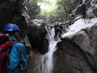 シャワーで滝を登るたろーさん
