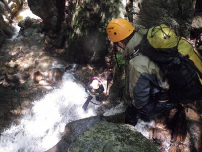 photo by ふ～さん