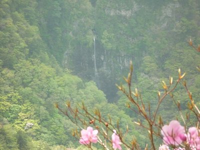 右にも曲ります