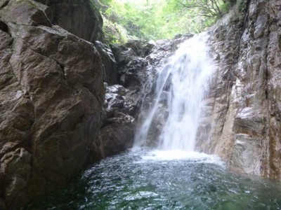 P1030531.jpg (92.27 KiB) 閲覧された回数 4682 回 8m滝