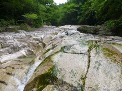 P1030562.jpg (119.94 KiB) 閲覧された回数 4681 回 赤坂谷のナメ