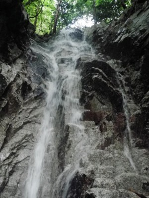 IMGP8307_1.JPG (143.24 KiB) 閲覧された回数 6349 回 7m滝