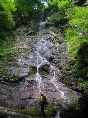 photo by ふ～さん