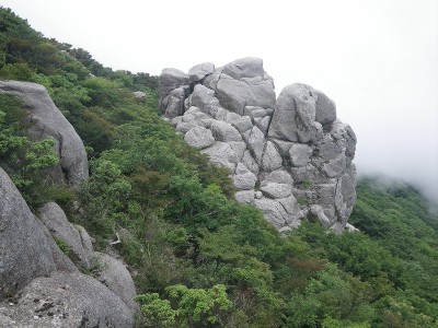 Ⅱ群からⅠ群を見る