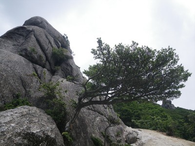 Ⅲ群の畳岩を下から望む（右端がⅠ群）