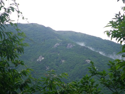 旧国道からⅠ群Ⅱ群Ⅲ群を望む