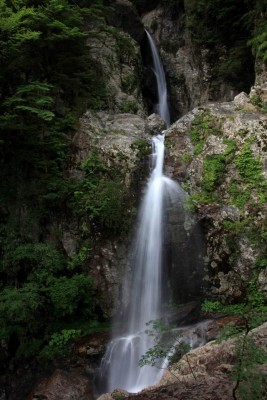 IMG_2995.JPG (128.59 KiB) 閲覧された回数 3890 回 一ノ滝と二ノ滝が二段になっている