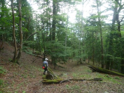 阿古滝への下り