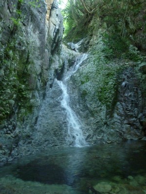 山の方にもレスしてほしかったんだけど・・・