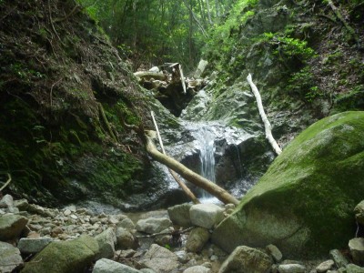 これがなれの果てか？