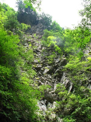 左岸の岩壁