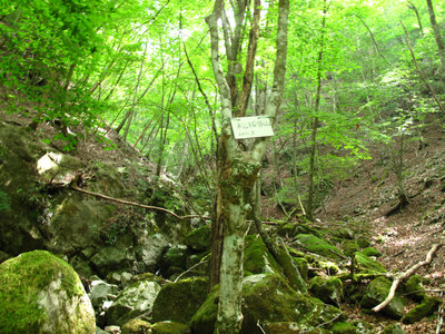 降り立った左股出合