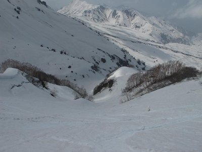 この沢を下って北面台地へ戻ります