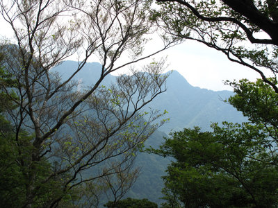 水越からの白倉山・古ヶ丸山