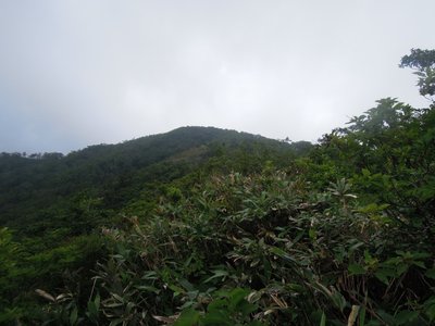 はるかなる三国岳