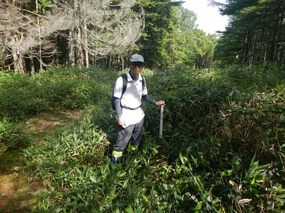 程久保山山頂（眺望なし）