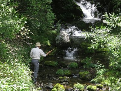 お魚さんいますか〜