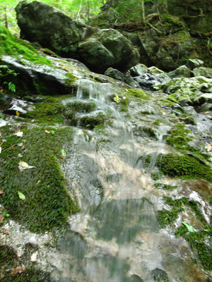 IMG_7468.jpg (594.7 KiB) 閲覧された回数 5458 回 豊かな渓流