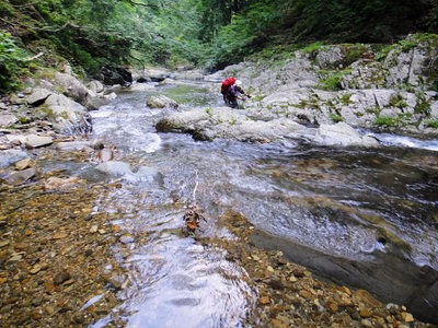 yama130727y001.jpg (71.06 KiB) 閲覧された回数 2610 回 13年ぶりの由良川源流溯行