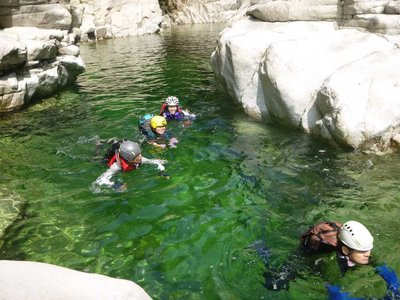 河童になって泳ぐ