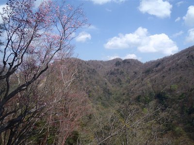 20110508-45.jpg