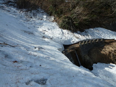 P1020314_1.JPG (245.61 KiB) 閲覧された回数 5803 回 林道歩きも楽し1