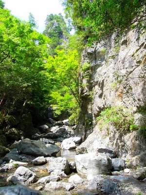 三滝出合上流風景。
