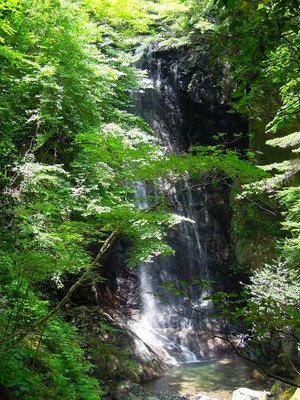 ４０ｍ？大滝。