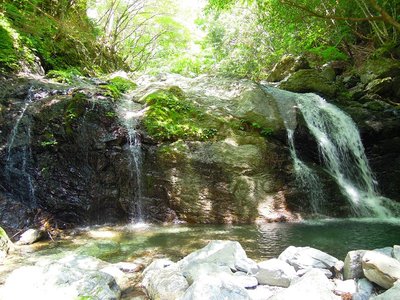 モミ谷出合上の堰堤状６ｍ。