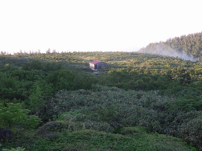 DSCN6014.jpg (301.35 KiB) 閲覧された回数 5882 回 小桜平避難小屋