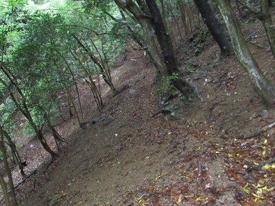 この辺りかな？