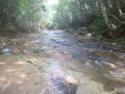 P1030895.jpg (130.05 KiB) 閲覧された回数 6390 回 白滝谷のナメ