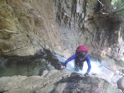 P1030889 2.jpg (141.63 KiB) 閲覧された回数 6391 回 滝を登るわりばしさん