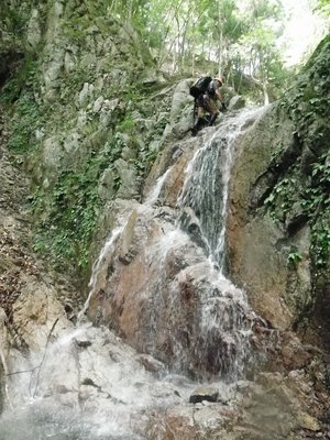 産卵のために遡上