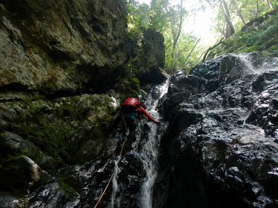 DSCN0140.JPG (276.37 KiB) 閲覧された回数 2549 回 ぬめりの強い滝