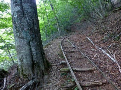 鉱石運搬用機動跡が残る登山道