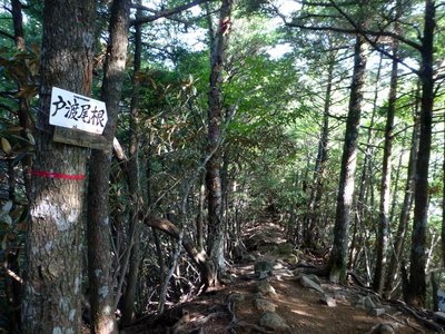 戸渡尾根出合－左手から徳ちゃん新道が合流する